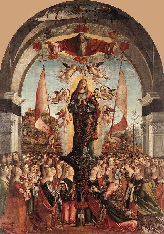 CARPACCIO, Vittore Apotheosis of St Ursula dfg